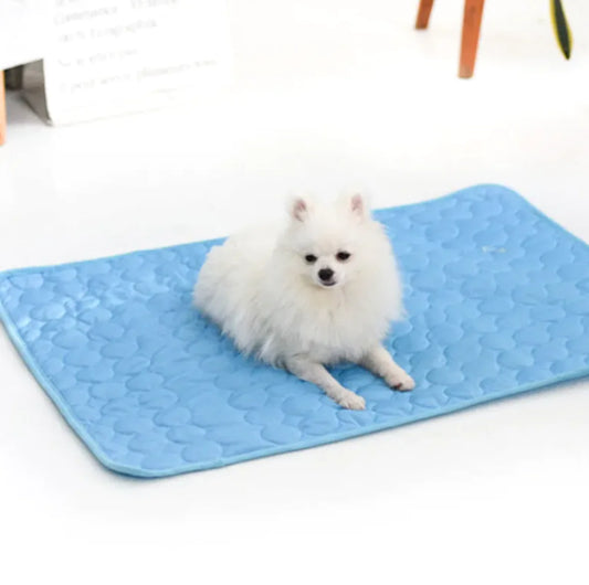 GlacierPawsNest™ Freshness for every paw